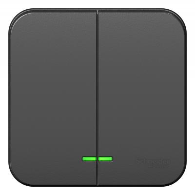 Выключатель SYSTEME ELECTRIC Blanca 2 клавиши с подсветкой антрацит BLNVA105116