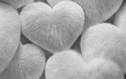 Обои ПАЛИТРА UFF 72585-14 HC