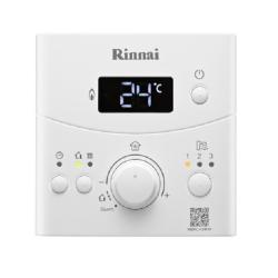 Котел газовый RINNAI BR-K24 