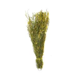 Запарка для бани Донник