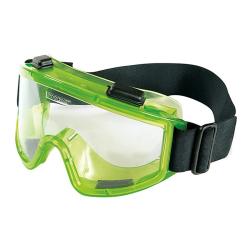 Очки защитные РОСОМЗ 3Н11 Панорама