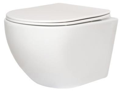 Унитаз подвесной SAN MORE Fiaba SMT971901