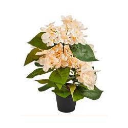 (АКЦИЯ) Цветок искусственный Гортензия белая 10*10*37см /LM23NY0183/Уникс/