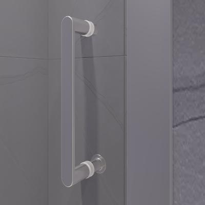 Душевая дверь RGW PA-13 140 см  