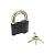 Замок навесной СТАНДАРТ AL-780