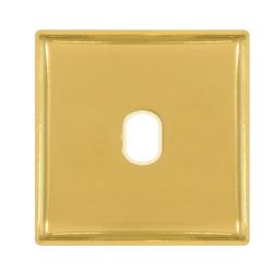 Монтажная плата для выключателя тумблерного типа с 1 коннектором bright gold/беж FD04320OB-A 