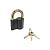Замок навесной СТАНДАРТ AL-760