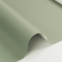 Рулонная штора LEGRAND Blackout Болид олива 66*175 см