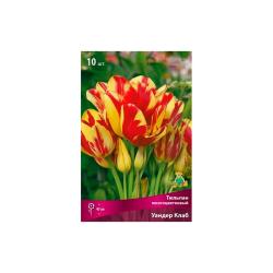 Тюльпан ПОИСК Уандер клаб 10 шт