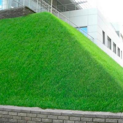 Газон ЗЕЛЕНЫЙ УГОЛОК Откос 1 кг