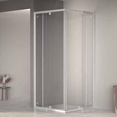 Душевое ограждение RGW PA-38 100*100 см