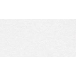 Плитка базовая DELACORA Absolute Ice 60*120 см