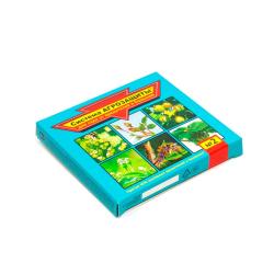 Средство от болезней ВАШЕ ХОЗЯЙСТВО Система агрозащиты №2 7 мл