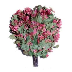 Веник для бани Черноклен