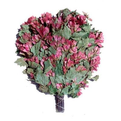 Веник для бани Черноклен