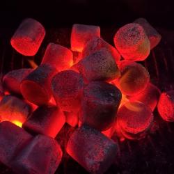Брикеты для розжига BRIQCOAL 2,5 кг