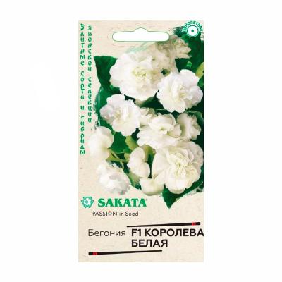 Бегония ГАВРИШ Королева белая F1 4 шт
