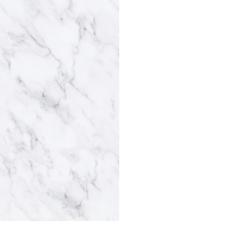 Панель ПВХ ЦЕНТУРИОН Дыхание юга фон 8*250*2700 мм