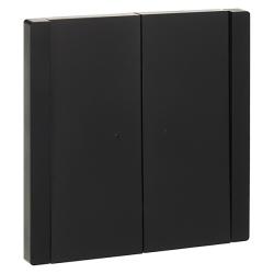 Выключатель IEK Forte&Piano 2 клавиши с подсветкой черный FP-V20-1-10-1-K02