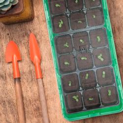 Набор для рассады ГАЗОНCITY 210*440*80 мм