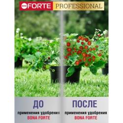 Удобрение минеральное BONA FORTE Для клубники, земляники 100 г