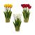 Цветочная композиция Тюльпан (33*33*53см) /795189/РЕМЕКО