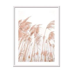 Постер в раме МИРАМ 30*40см Пампасная трава /230401611/
