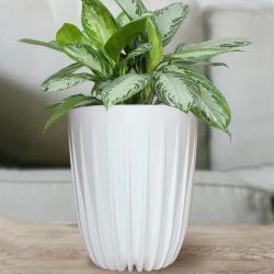 Горшок пластиковый ЛИВИНГРИН Сигма Белый 4,6 л