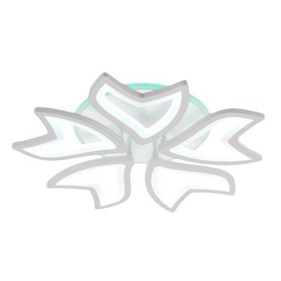 Люстра ЛАЙТ СФЕРА 2298/5 WT+RGB Белый