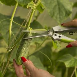 Ножницы универсальные ЦЕНТРОИНСТРУМЕНТ 1144