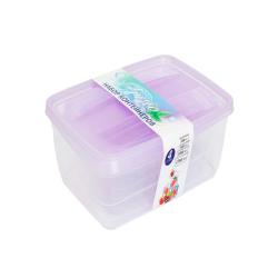 Набор контейнеров 4 в 1 Fresco 250,500,1000,1750 мл, лаванда/Violet/