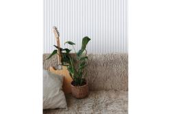 Панель HIWOOD 120*12*2700 мм LV124 NP