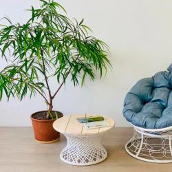 Стол садовый M-GROUP Бонго макси Белый 800*800*510 мм