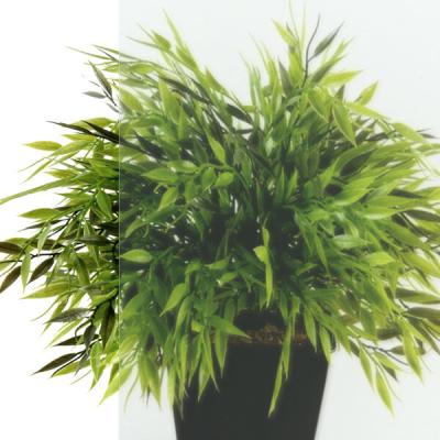 Душевая кабина TRITON Ультра Б 90*90 см 