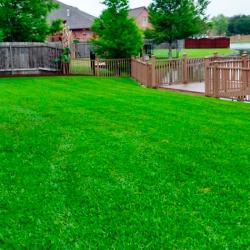 Газон ЗЕЛЕНЫЙ УГОЛОК Озеленитель 0,5 кг