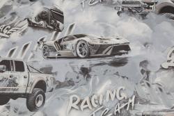 Обои ПАЛИТРА Racing Team 72349-41 HC