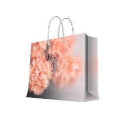 Пакет бум. 40,6*33*16см /93932FE/Феникс Презент/