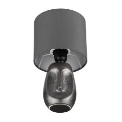 Настольная лампа ODEON Akivi 8147/1T Серый