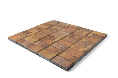 Плитка тротуарная BRAER Прямоугольник 40 Колормикс Прайд