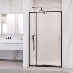 Душевая дверь RGW РА-008 В 110 см