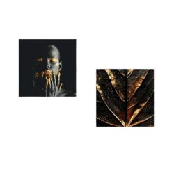 Набор из 2-х картин 30*30 см,печат. на дер.подрамнике Золотой лист /1-133/Симфония/