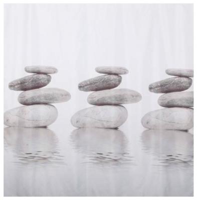 Штора для ванной DASCH Гармония 