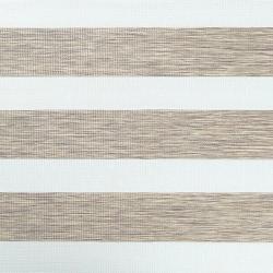 Рулонная штора АС МАРТ День-Ночь Вудэн Бежево-серый 61*160 см