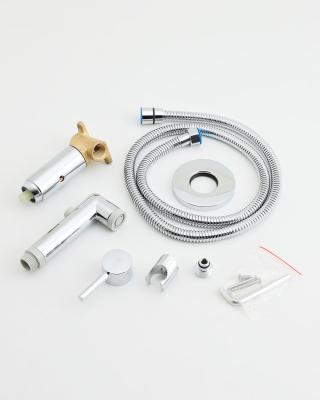 Гигиенический комплект ORANGE Karl встраиваемый AP31-222Cr