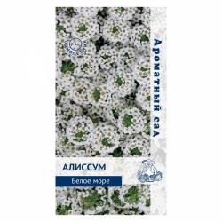 Алиссум ПОИСК Белое море 0,3 г