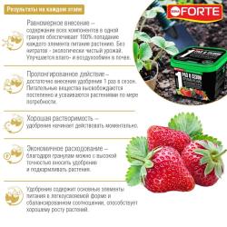 Удобрение минеральное BONA FORTE Для клубники и ягод 1000 мл