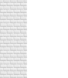 Панель ПВХ Бланш-фон 8*250*2700 мм