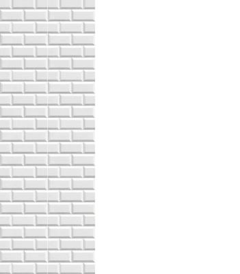 Панель ПВХ Бланш-фон 8*250*2700 мм