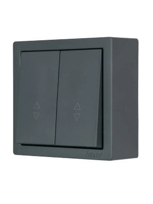 Переключатель LEZARD Leto 2 клавиши графит 752-3400-106