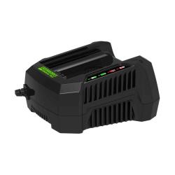 Устройство зарядное GREENWORKS G82C